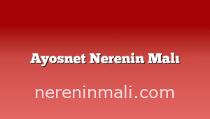 Ayosnet Nerenin Malı