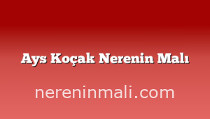 Ays Koçak Nerenin Malı