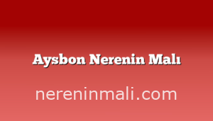 Aysbon Nerenin Malı