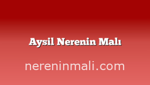 Aysil Nerenin Malı