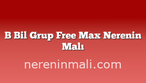 B Bil Grup Free Max Nerenin Malı