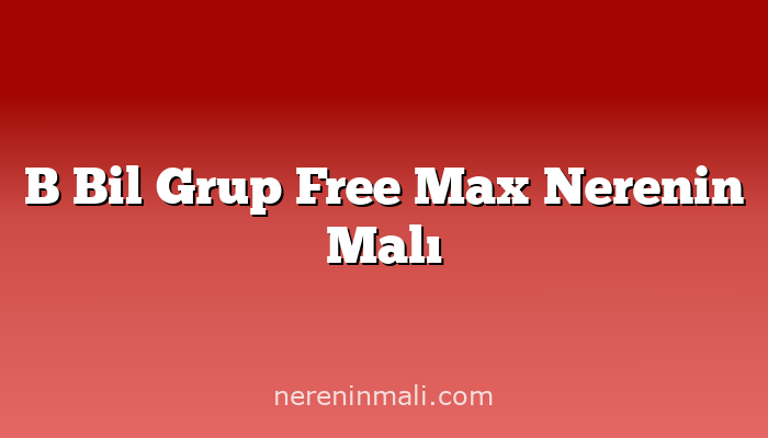 B Bil Grup Free Max Nerenin Malı