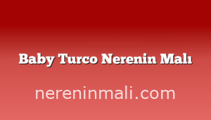 Baby Turco Nerenin Malı