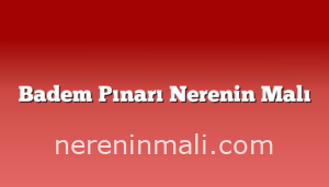 Badem Pınarı Nerenin Malı