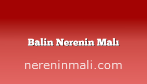 Balin Nerenin Malı