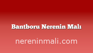 Bantboru Nerenin Malı