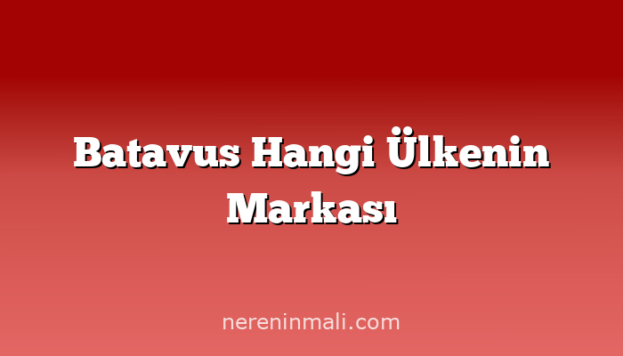 Batavus Hangi Ülkenin Markası