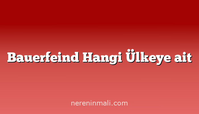 Bauerfeind Hangi Ülkeye ait