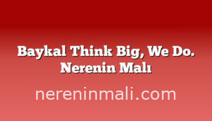 Baykal Think Big, We Do. Nerenin Malı