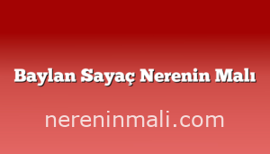 Baylan Sayaç Nerenin Malı