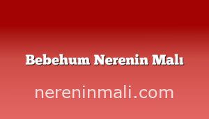 Bebehum Nerenin Malı