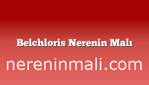 Belchloris Nerenin Malı