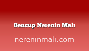 Bencup Nerenin Malı