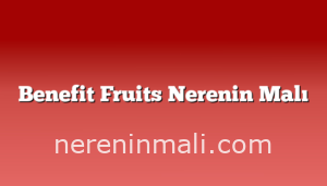 Benefit Fruits Nerenin Malı