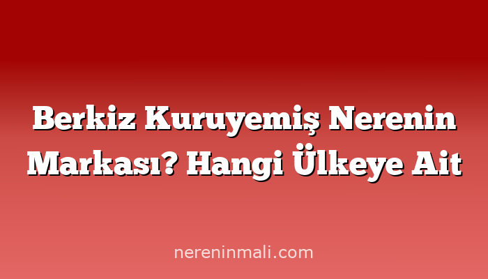 Berkiz Kuruyemiş Nerenin Markası? Hangi Ülkeye Ait