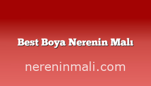 Best Boya Nerenin Malı