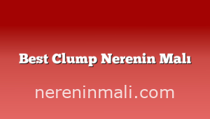 Best Clump Nerenin Malı