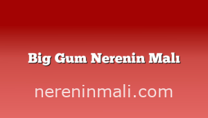 Big Gum Nerenin Malı