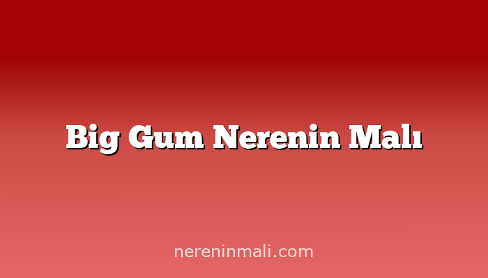 Big Gum Nerenin Malı