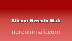 Bilenor Nerenin Malı