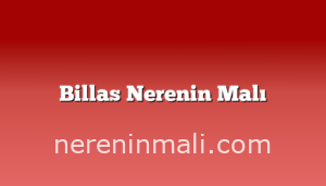 Billas Nerenin Malı