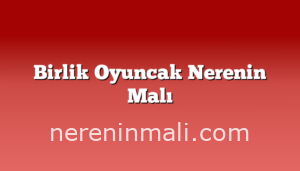 Birlik Oyuncak Nerenin Malı