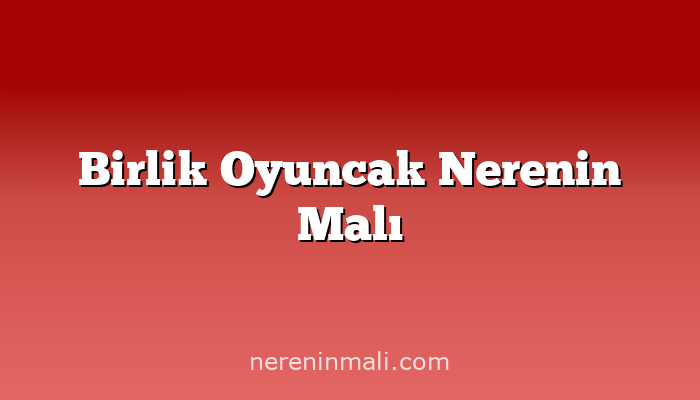 Birlik Oyuncak Nerenin Malı