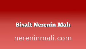 Bisalt Nerenin Malı