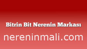 Bitrin Bit Nerenin Markası