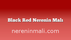 Black Red Nerenin Malı