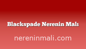 Blackspade Nerenin Malı