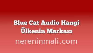 Blue Cat Audio Hangi Ülkenin Markası