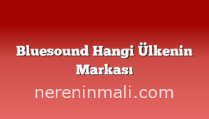 Bluesound Hangi Ülkenin Markası