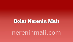 Bolat Nerenin Malı