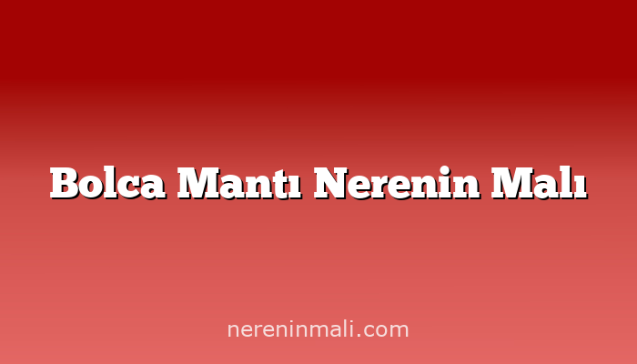 Bolca Mantı Nerenin Malı