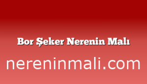 Bor Şeker Nerenin Malı