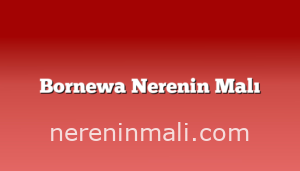 Bornewa Nerenin Malı