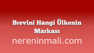 Brevini Hangi Ülkenin Markası