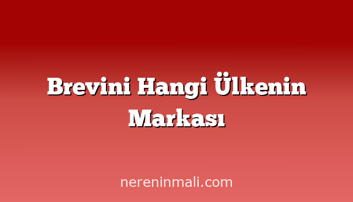 Brevini Hangi Ülkenin Markası