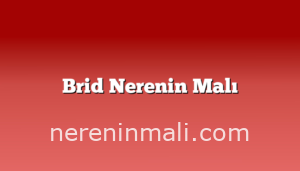 Brid Nerenin Malı