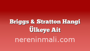 Briggs & Stratton Hangi Ülkeye Ait