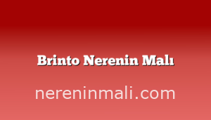 Brinto Nerenin Malı