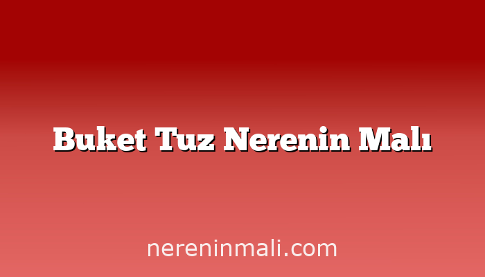 Buket Tuz Nerenin Malı