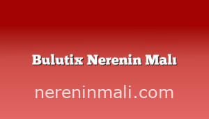 Bulutix Nerenin Malı