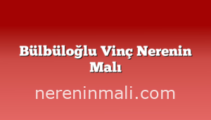 Bülbüloğlu Vinç Nerenin Malı