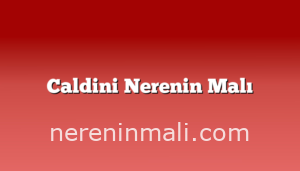 Caldini Nerenin Malı