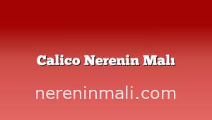 Calico Nerenin Malı