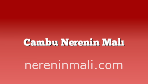 Cambu Nerenin Malı