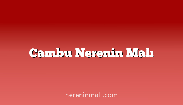 Cambu Nerenin Malı