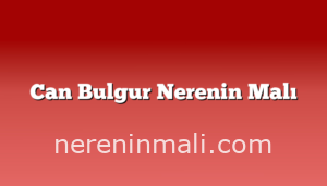 Can Bulgur Nerenin Malı